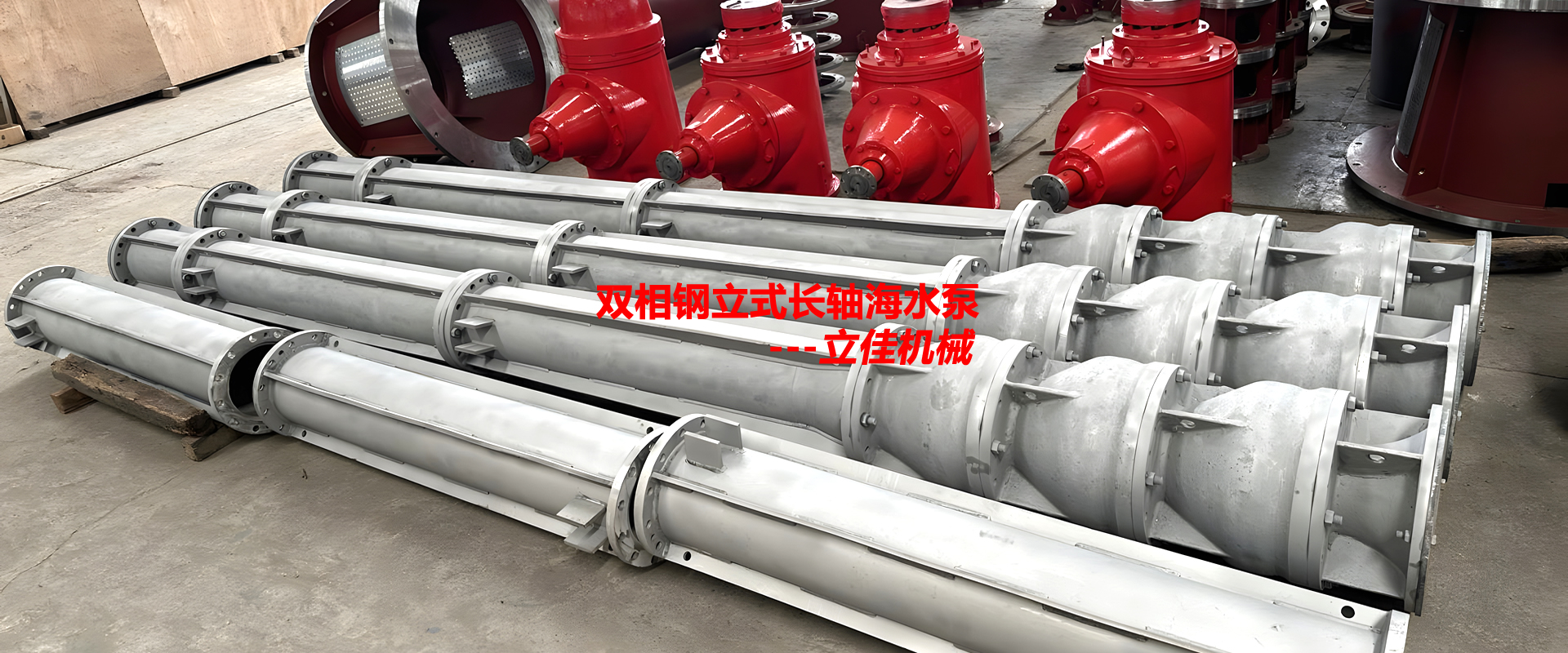 立式双相钢长轴泵